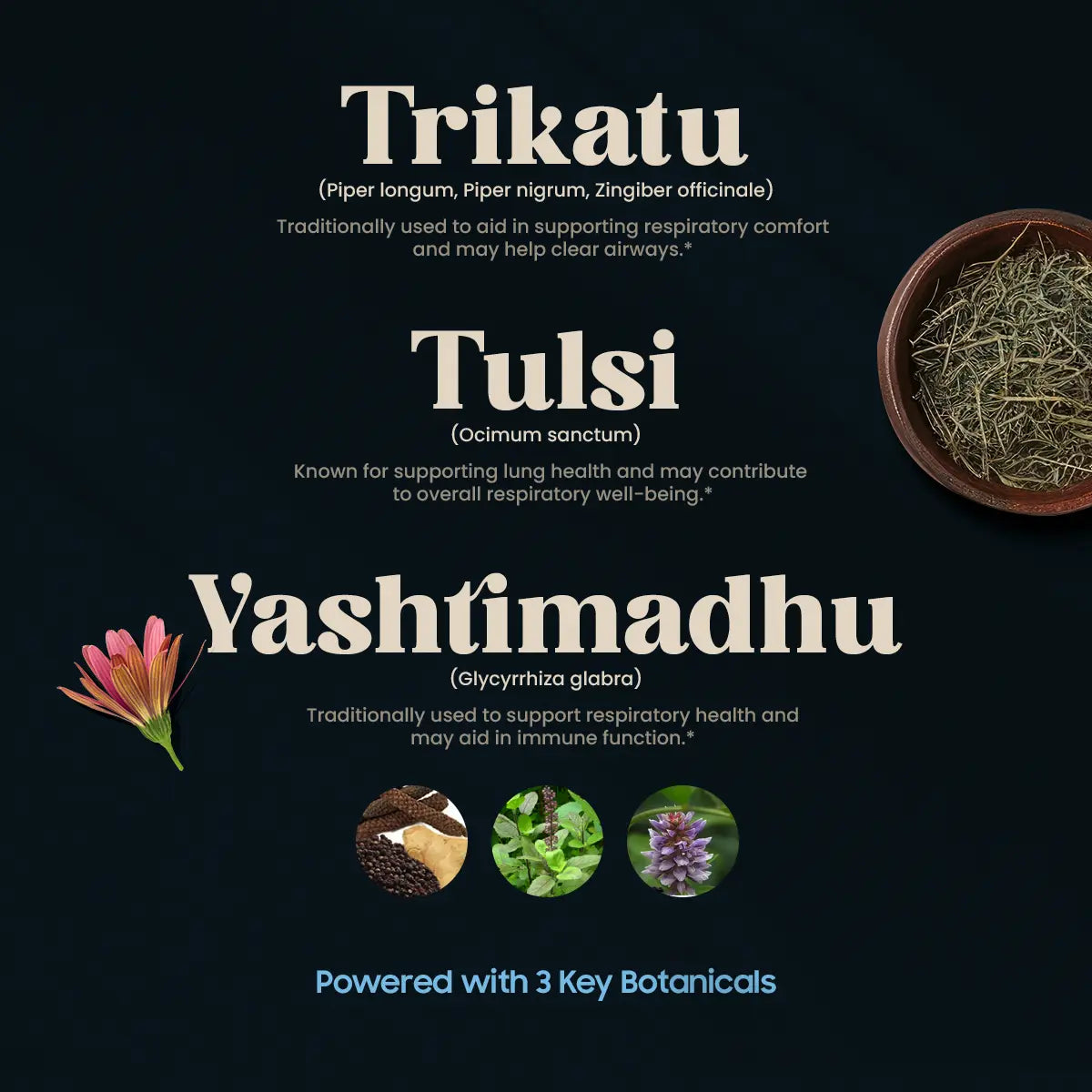 Asthaloc 3 Key Botanicals