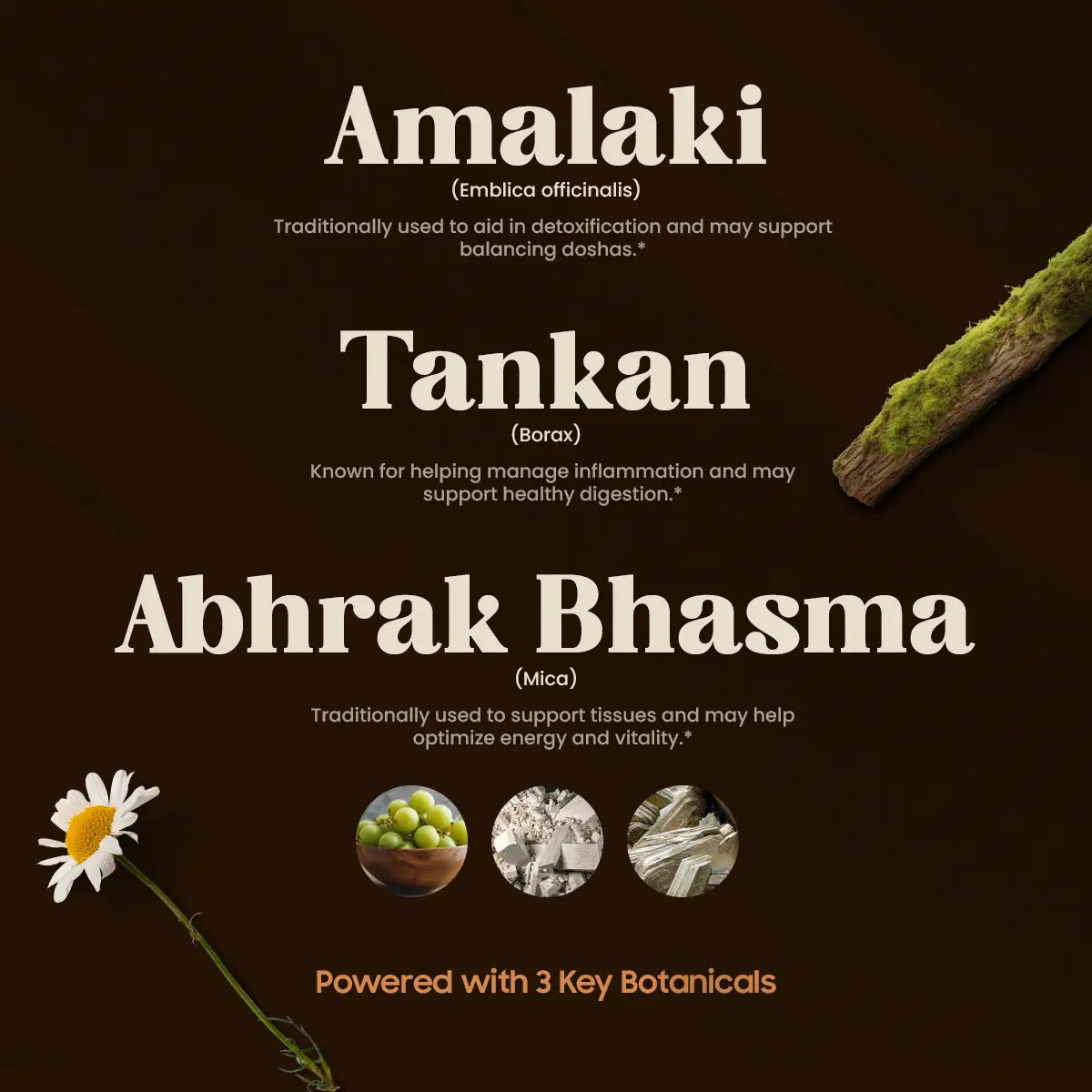 Amrutras 3 Key Botanicals