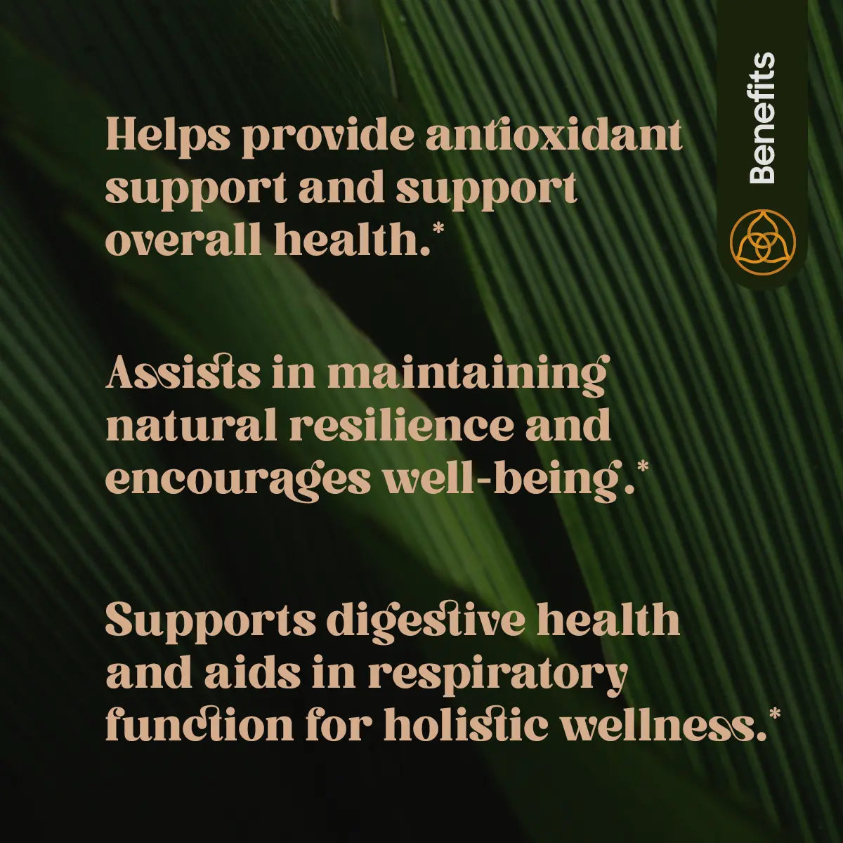 Ayushakti Immuno Benefits