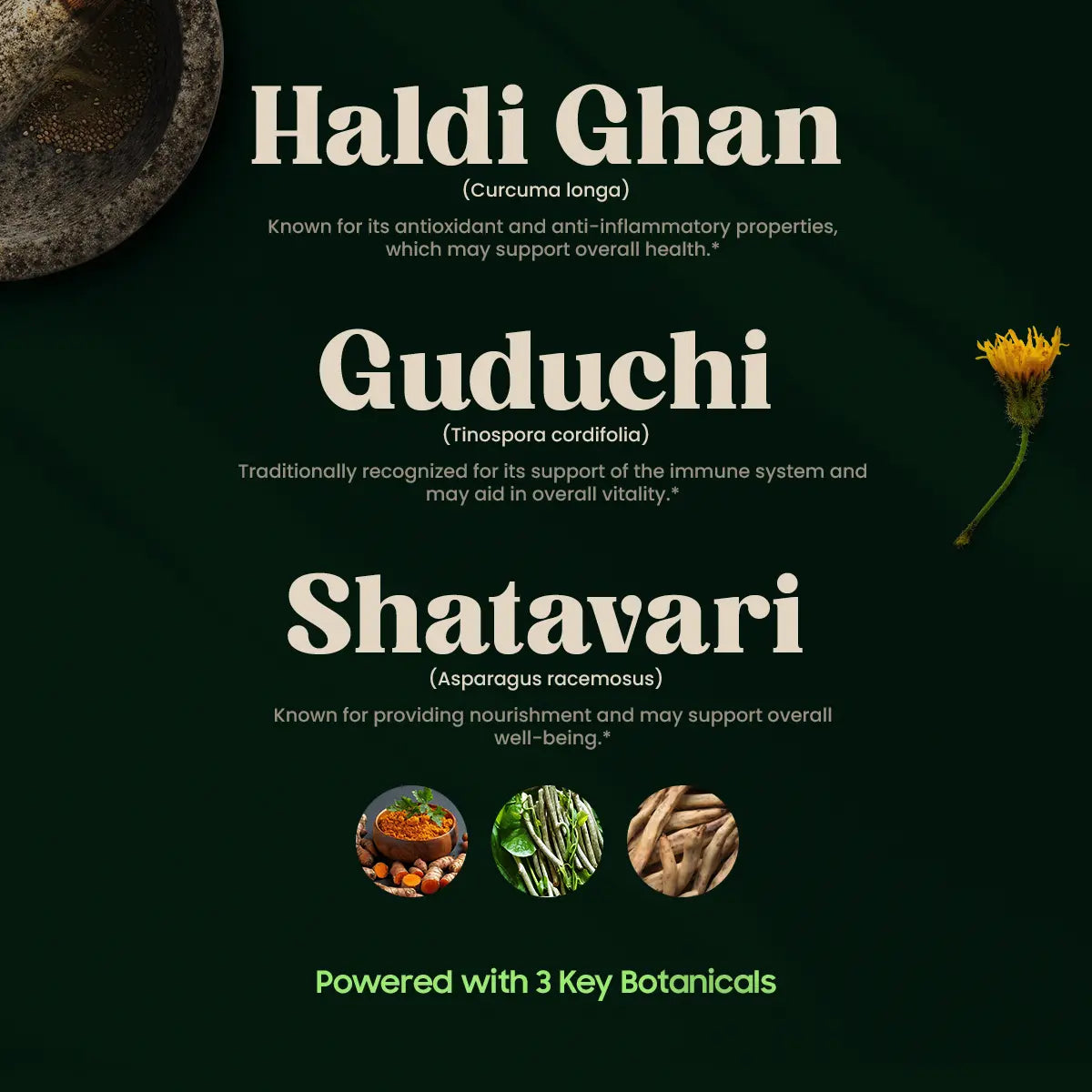 Ayushakti Immuno 3 Key Botanicals