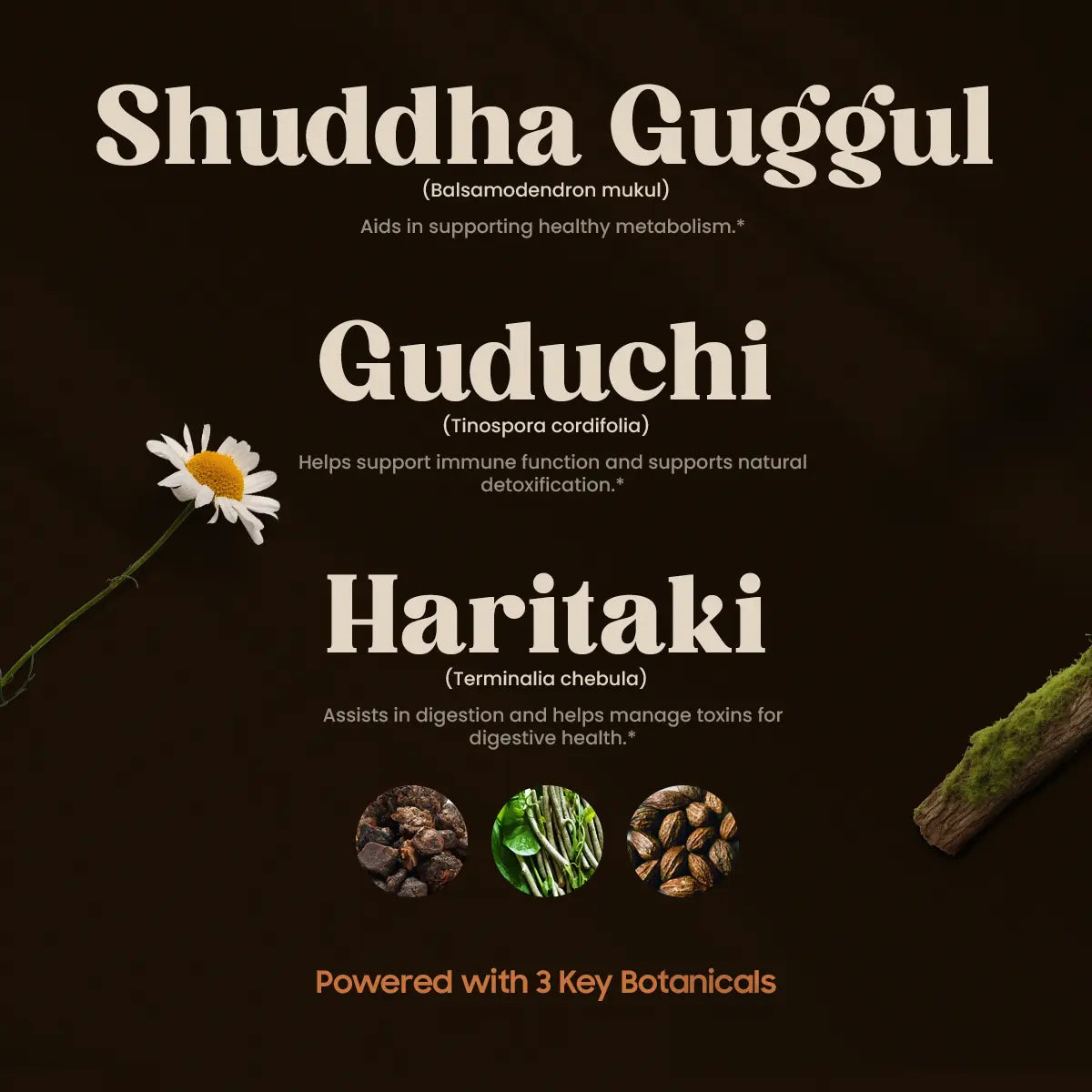 Chandraprabha 3 Key Botanicals