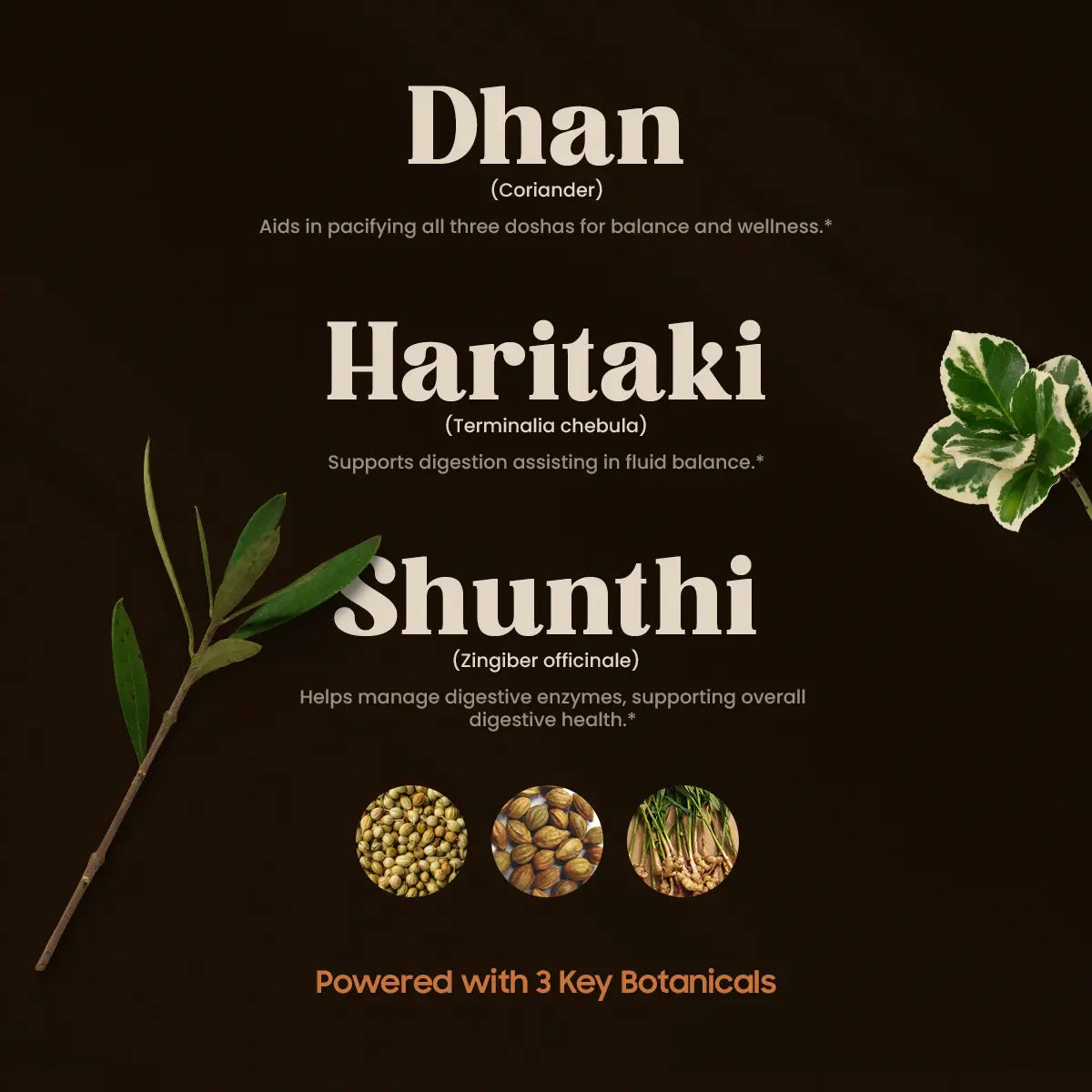 Gasmukti 3 Key Botanicals