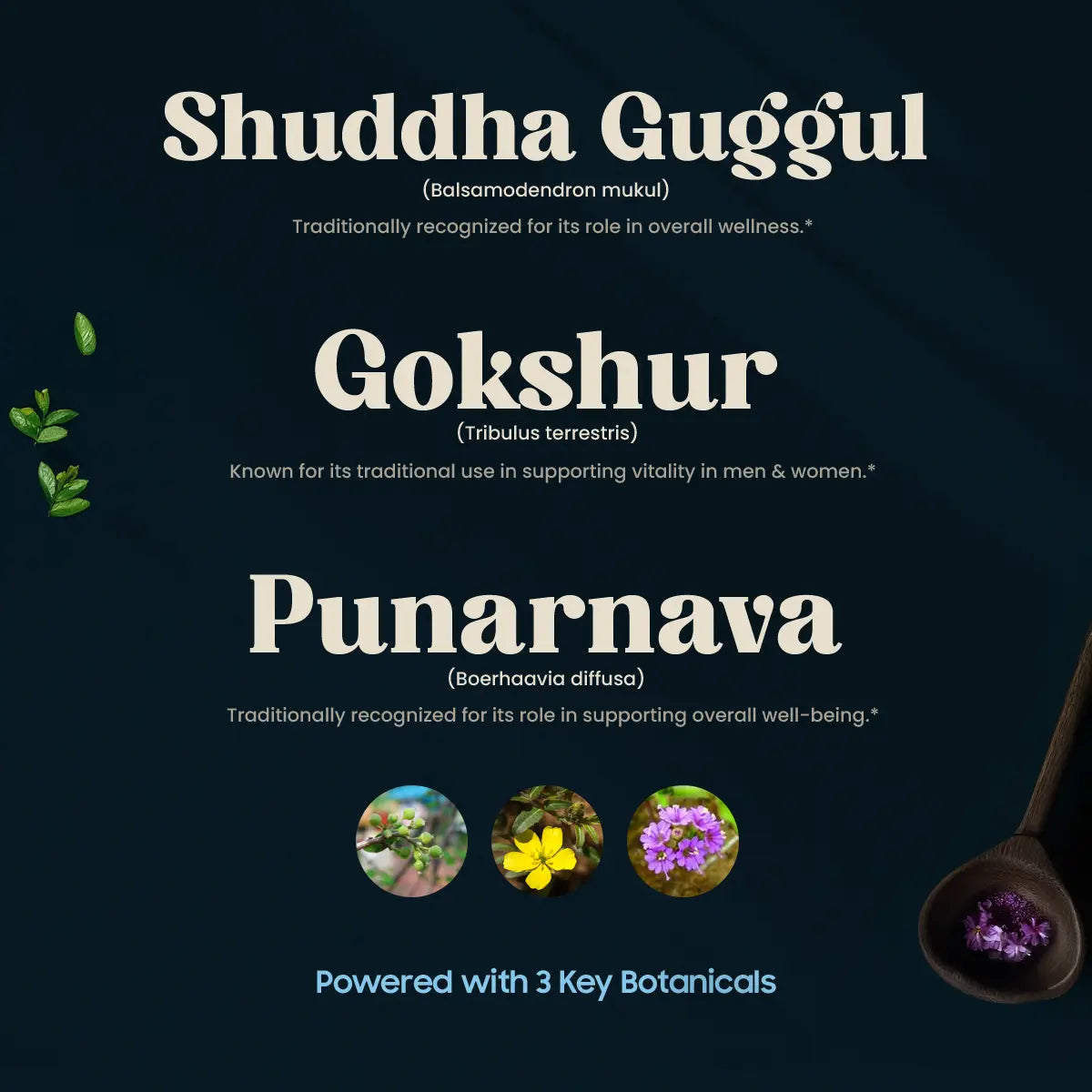 K Tone 3 Key Botanicals