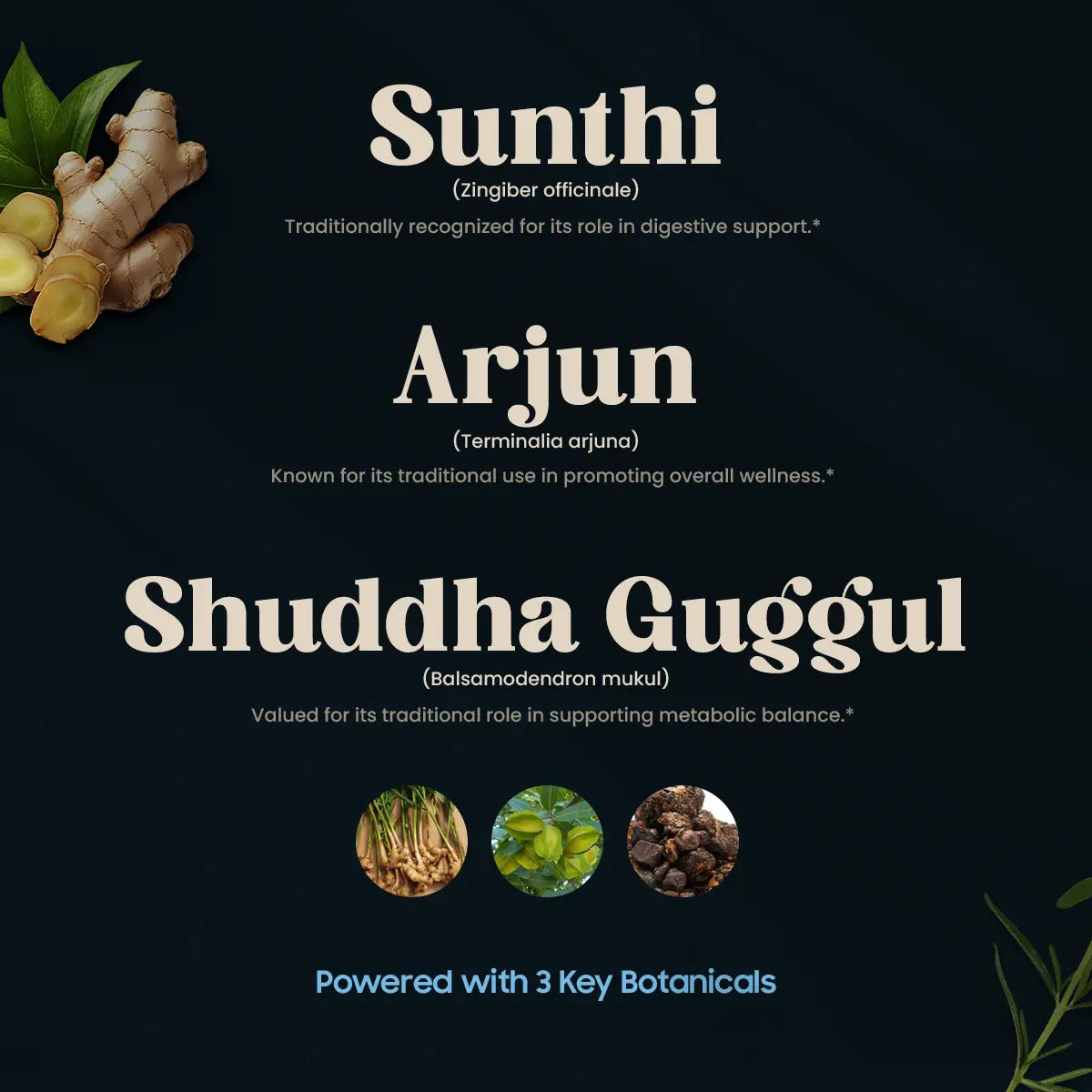 Metaboost 3 Key Botanicals