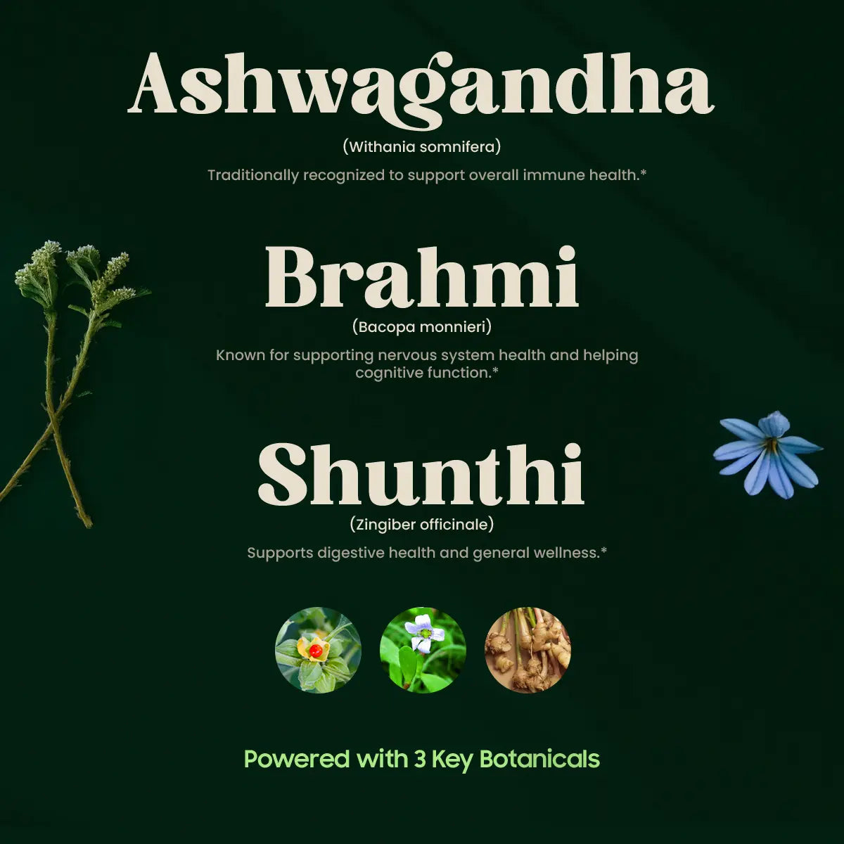 Niramaya 3 Key Botanicals