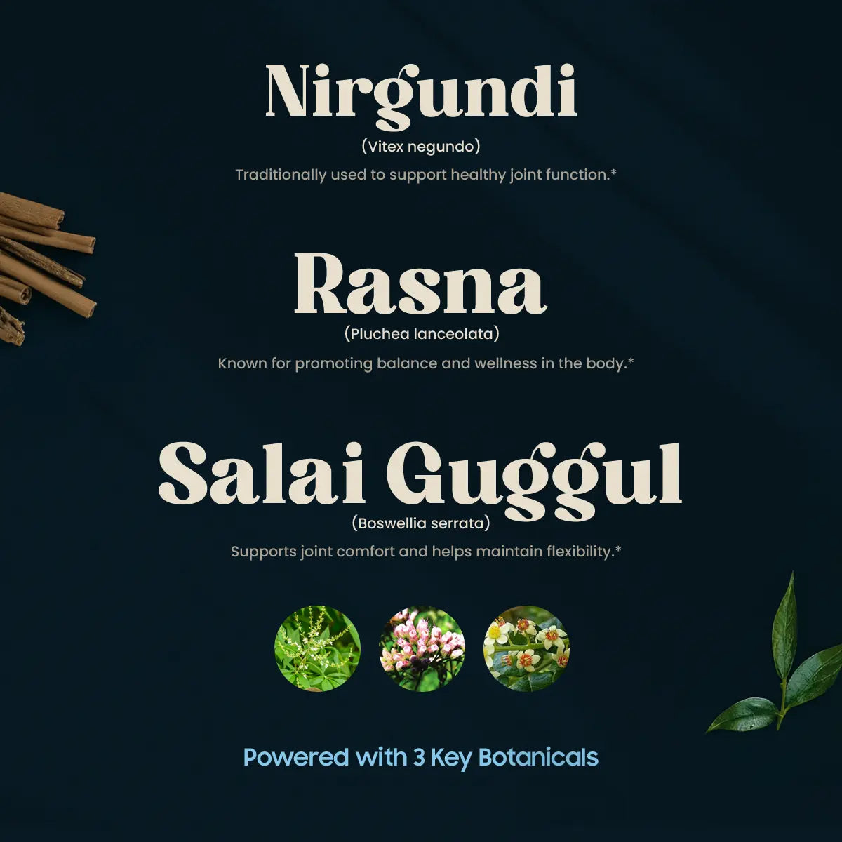 Painmukti 3 Key Botanicals