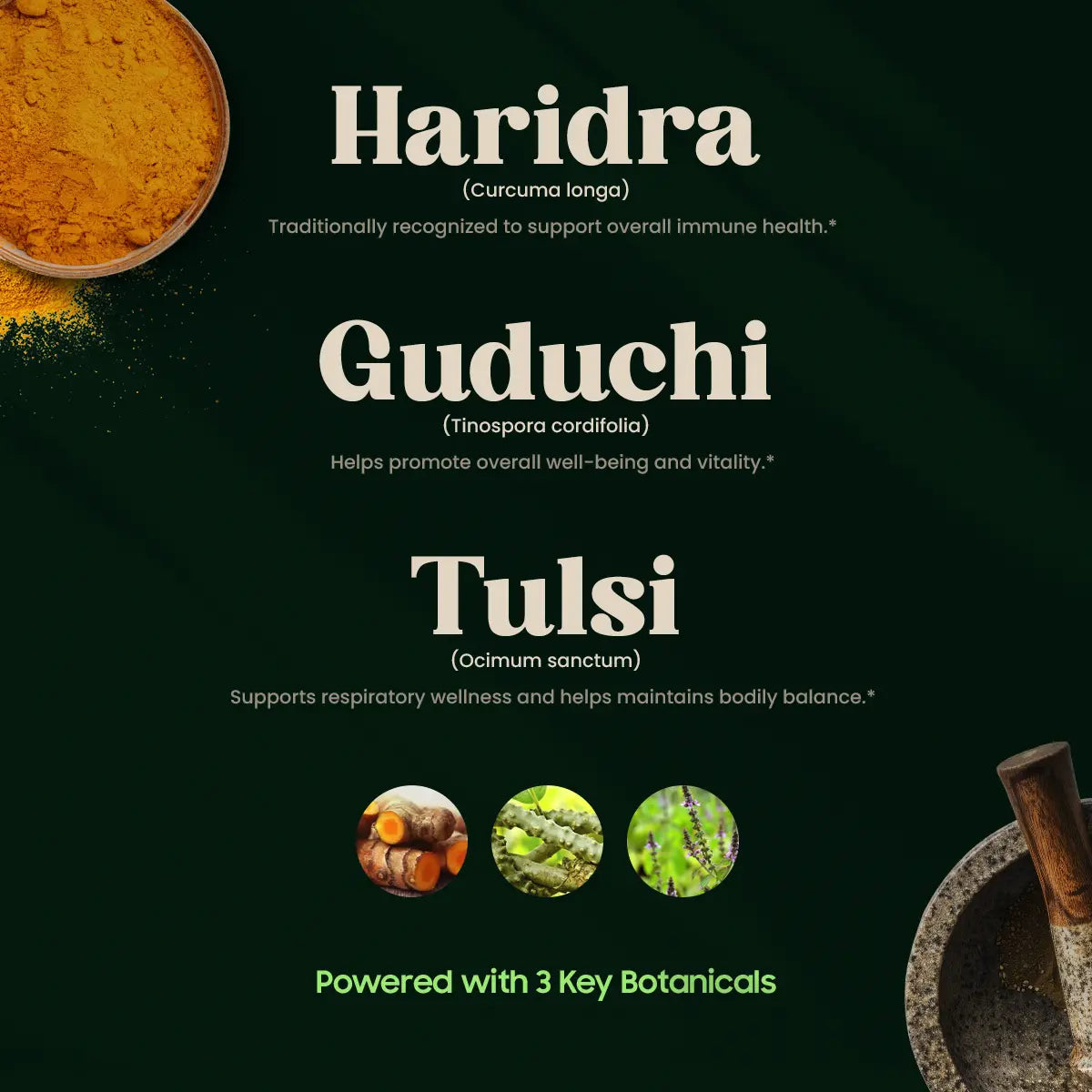 Pratishakti 3 Key Botanicals