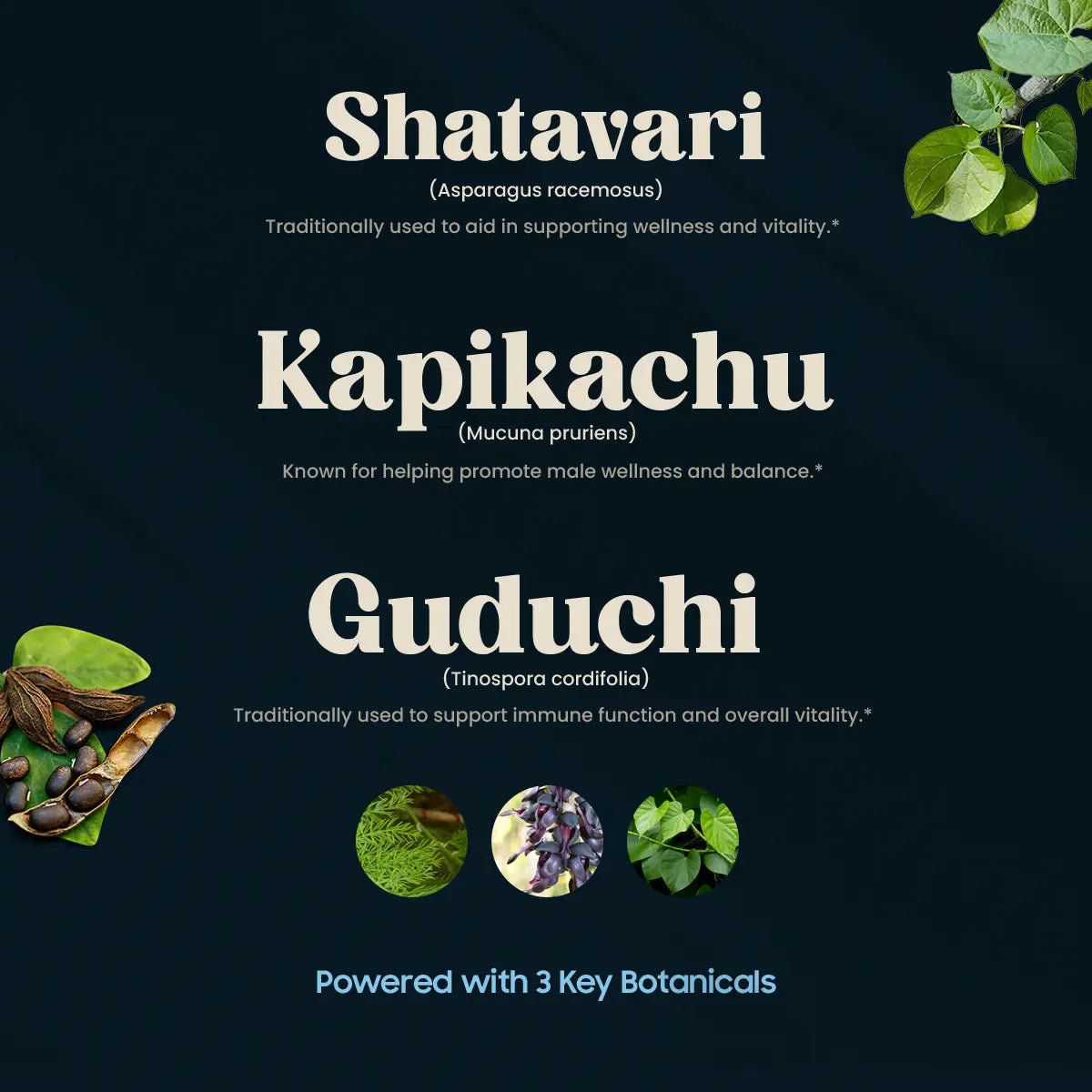 Skin Tonic 3 Key Botanicals