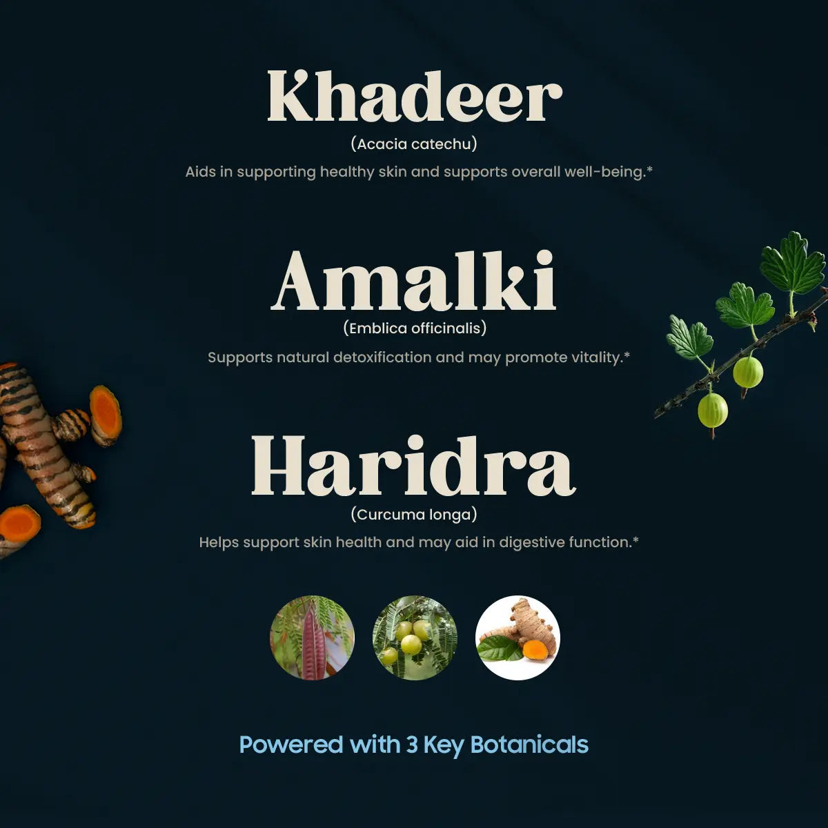 Suniram Tablet 3 Key Botanicals