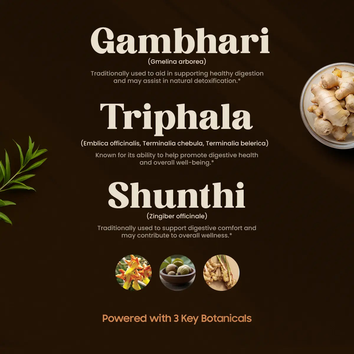 Toxigo 3 Key Botanical