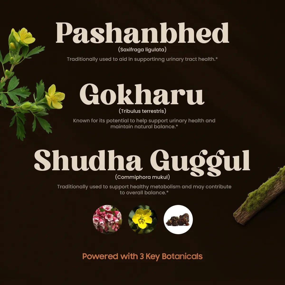 Uritone 3 Key Botanicals