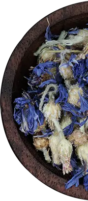 Ancient Healing Secrets