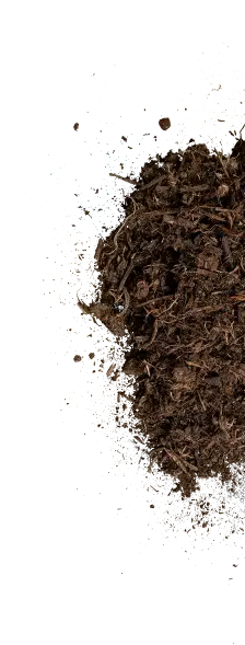 Natural Way of Healing