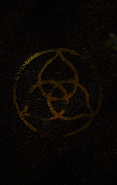 herbal solutions with ayushakti